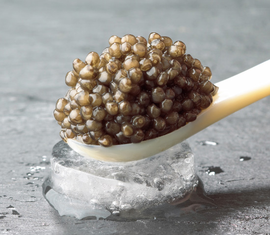 بهترین caviar