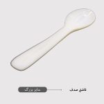 خرید و قیمت قاشق صدفی