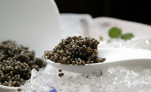 caviar in a spoon