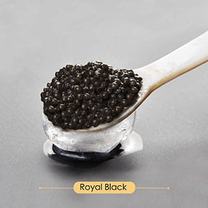 Royal-Black