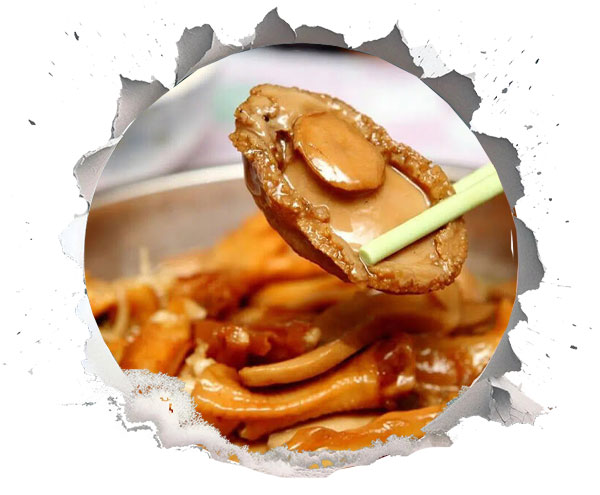 حلزون آبالون (Snail abalone)