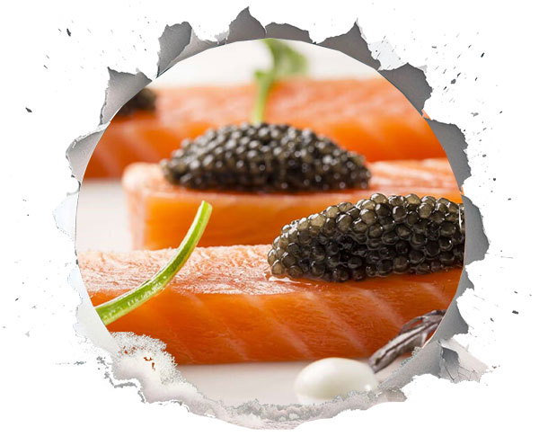 خاویار فیل ماهی گران ترین غذاهای دریایی