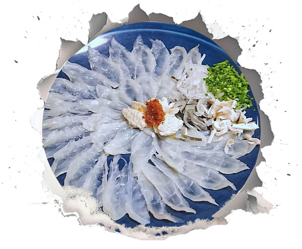 ماهی بادکنکی (Pufferfish)