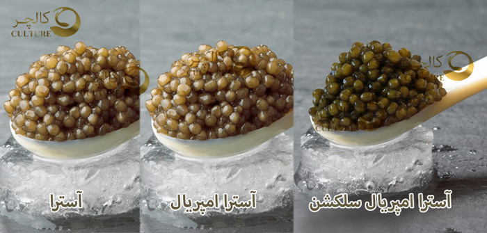 تفاوت رنگ خاویار
