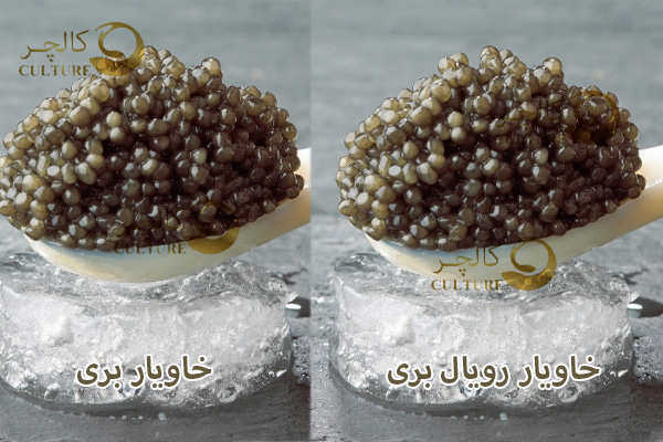 مقایسه قیمت خاویار بری و رویال بری به ترتیب از راست به چپ (گرانترین تا ارزانترین)
