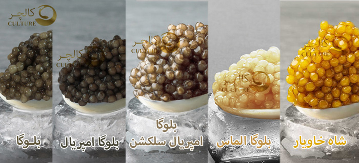 قیمت خاویار بلوگا به ترتیب از راست به چپ (گرانترین تا ارزان ترین)