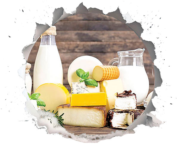 لبنیات حاوی ویتامین B12