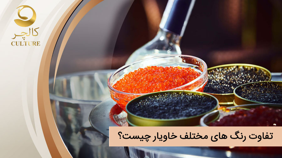تفاوت رنگ های مختلف خاویار چیست؟ خاویار قرمز، سیاه، طلایی، خاکستری و زیتونی