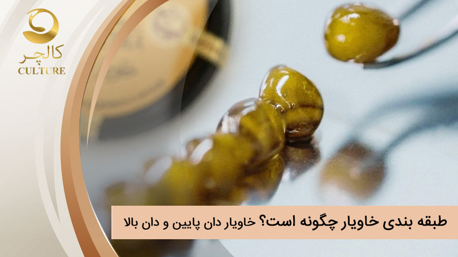 طبقه بندی خاویار چگونه است؟ خاویار دان پایین و دان بالا چیست؟