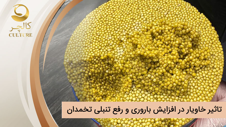خاویار و رفع تنبلی تخمدان