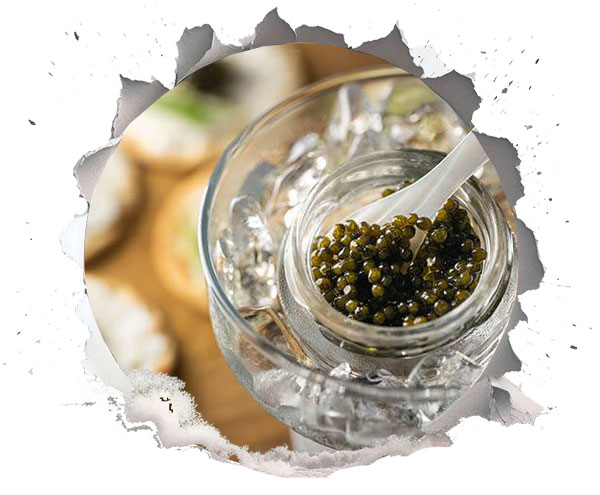 تاریخچه خاویار