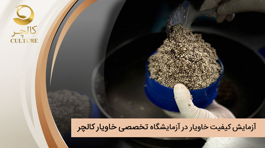 نحوه آزمایش کیفیت خاویار در آزمایشگاه تخصصی خاویار کالچر