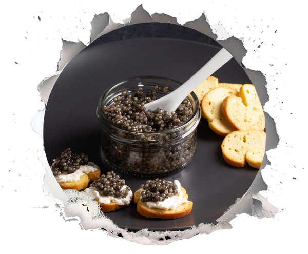 مصرف خاویار برای افزایش ویتامین D