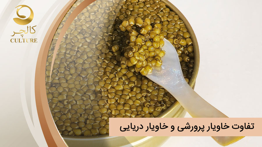 تفاوت خاویار پرورشی و خاویار دریایی چیست؟ مصرف کدام توصیه می شود؟