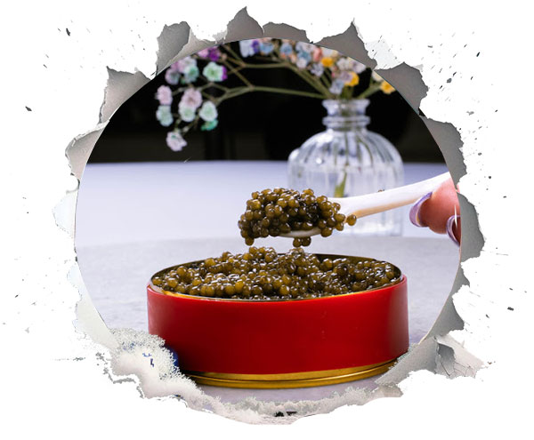 خاویار و فشار خون