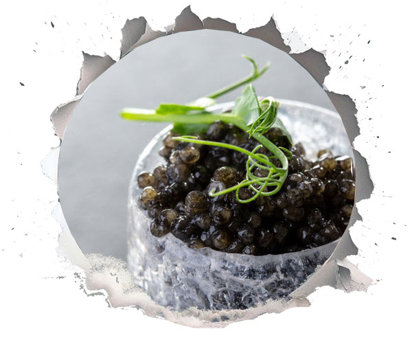 مصرف خاویار برای کنترل فشارخون