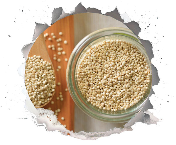 انواع خاویار گیاهی