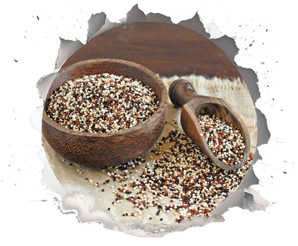 کینوا یا خاویار گیاهی