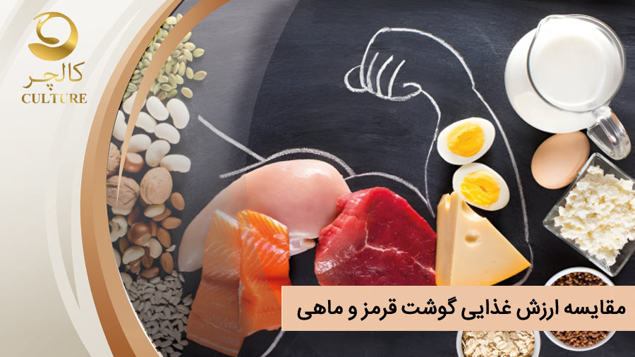 مقایسه ارزش غذایی گوشت قرمز و ماهی