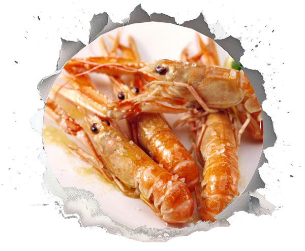 غذاهای محبوب دریایی
