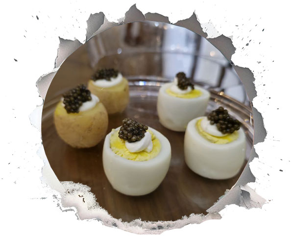 غذای ماهی خاویاری