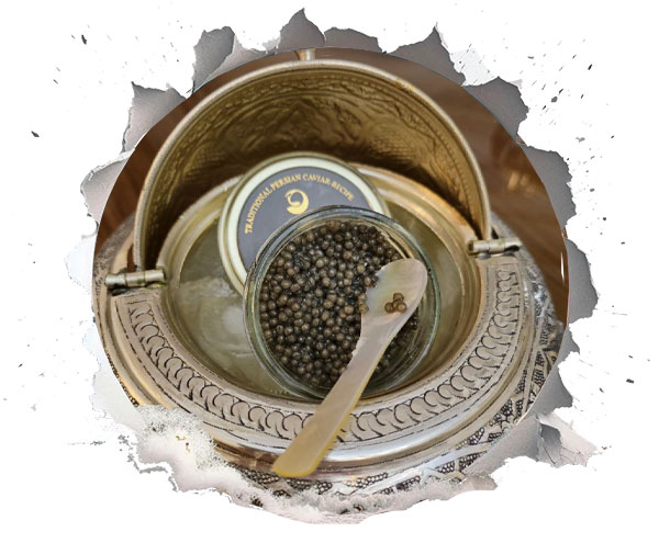 غذای ماهی خاویاری