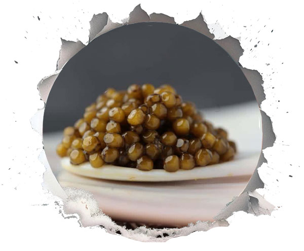حقایقی درباره خاویار