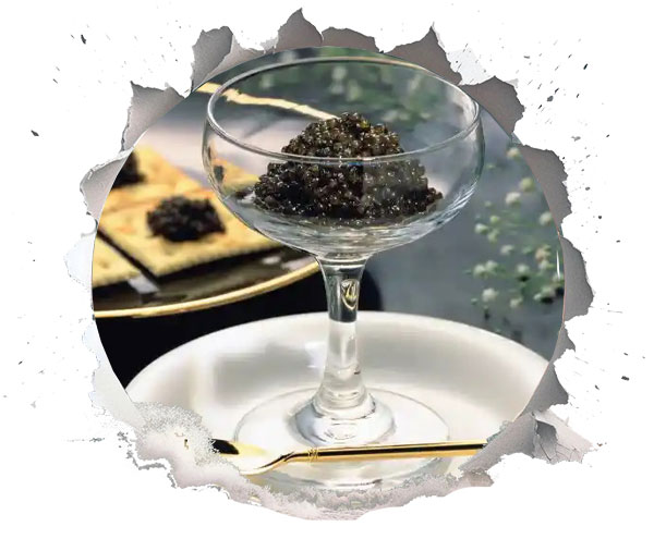 طراحی منو