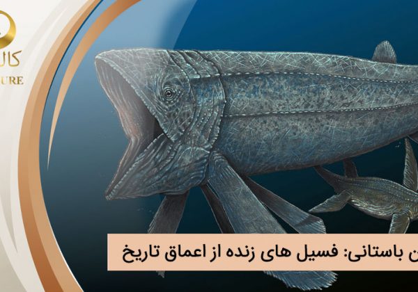 ماهیان باستانی: فسیل های زنده‌ای که از اعماق تاریخ سخن می‌گویند