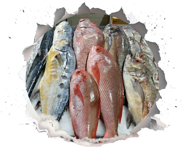 شغل دریایی