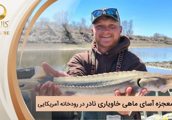 کشف معجزه‌آسای ماهی خاویاری نادر در رودخانه آمریکایی
