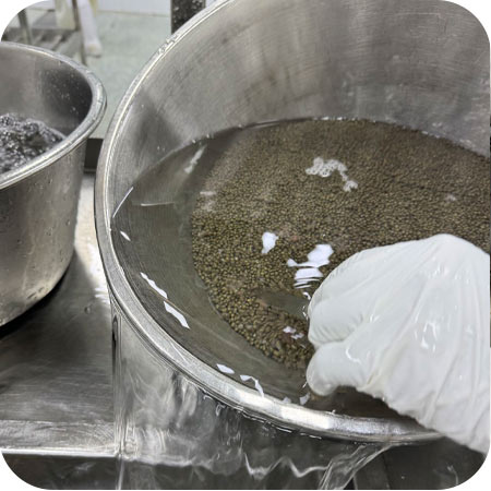 2 آزمایشگاه خاویار کالچر