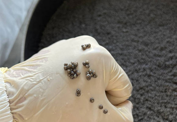 آزمایشگاه های خاویار کالچر