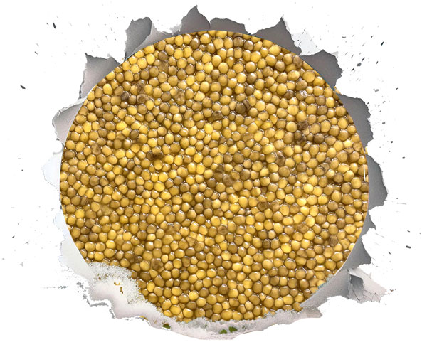 مسئولیت اجتماعی کالچر