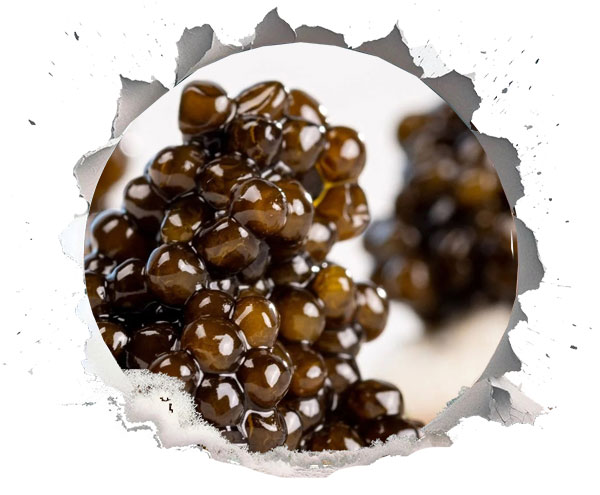 مسئولیت اجتماعی برند کالچر