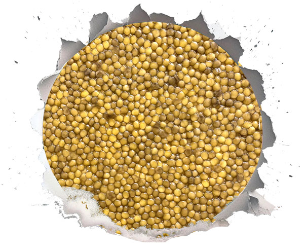 سرو خاویار در دمای نامناسب