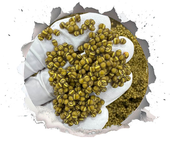 خاویار خوش طعم