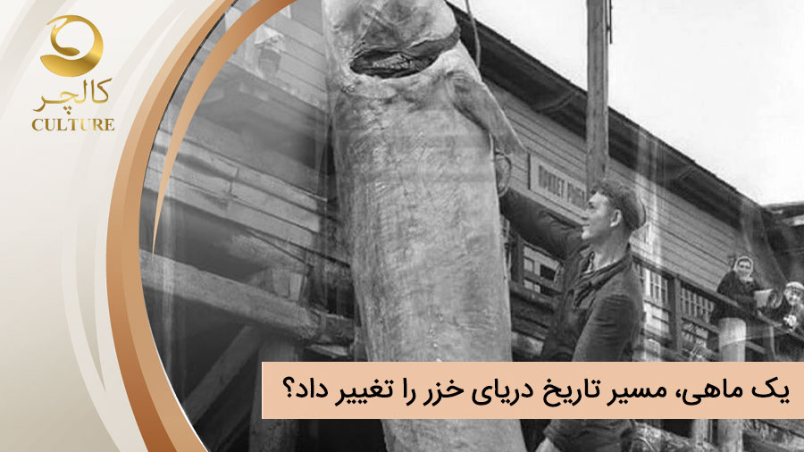 جنگ خاویار؛ چگونه یک ماهی، مسیر تاریخ دریای خزر را تغییر داد؟