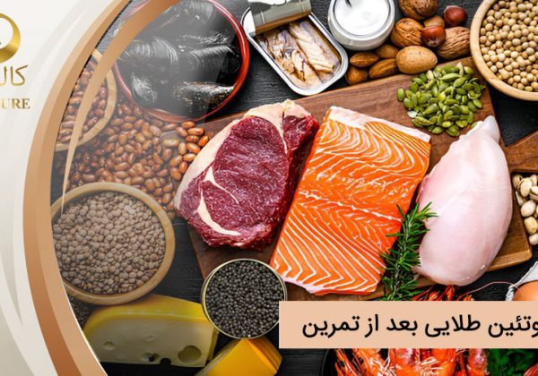 پروتئین طلایی بعد از تمرین؛ ۱3 منبع شگفت انگیز برای ریکاوری و عضله سازی