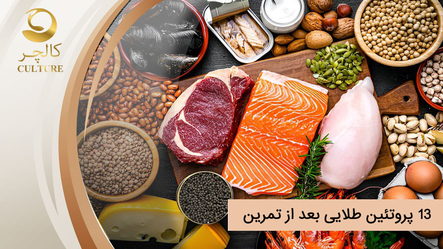 پروتئین طلایی بعد از تمرین؛ ۱3 منبع شگفت انگیز برای ریکاوری و عضله سازی