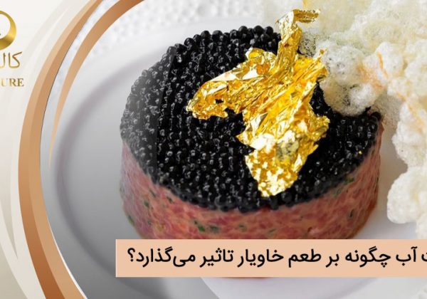 کیفیت آب چگونه بر طعم خاویار تاثیر می‌گذارد؟