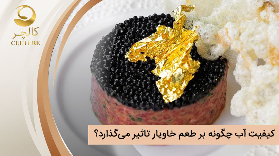 کیفیت آب چگونه بر طعم خاویار تاثیر می‌گذارد؟
