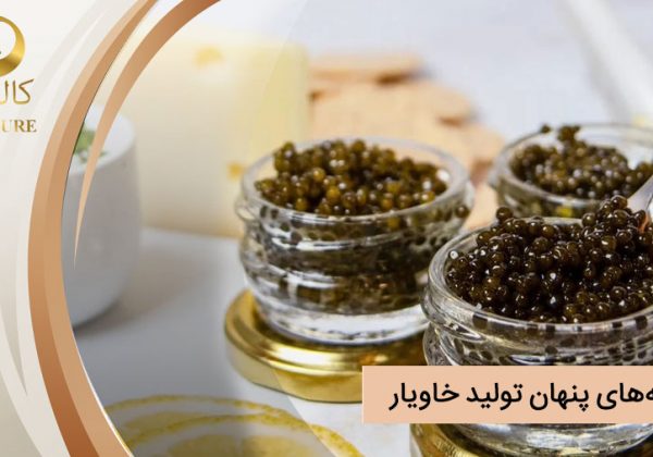 هزینه های پنهان خاویار