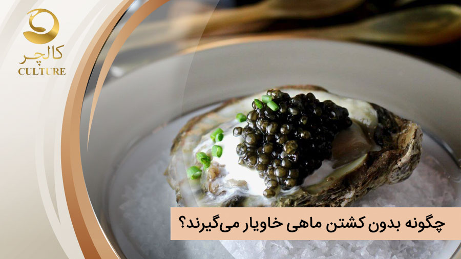 خاویار بدون کشتار