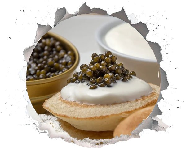 میکروبیوم روده ماهیان خاویاری